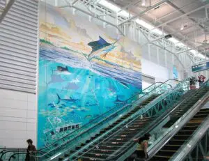 Wall Murals South Florida