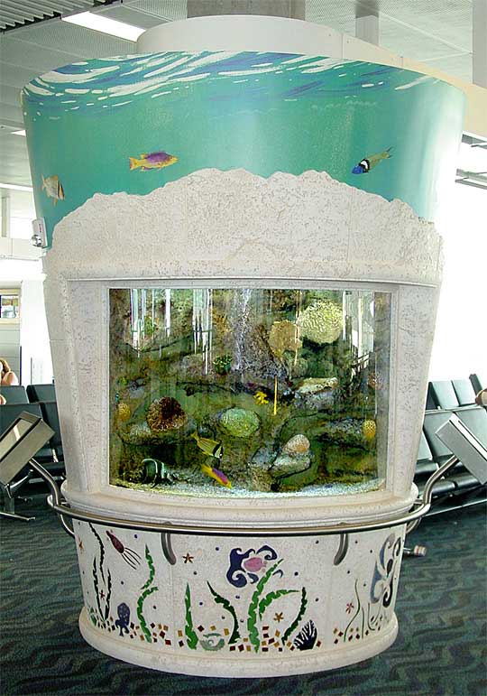 aquarium display
