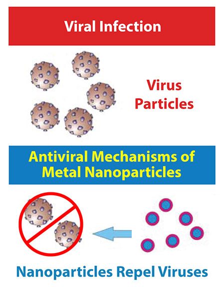 Virus Nanoparticles