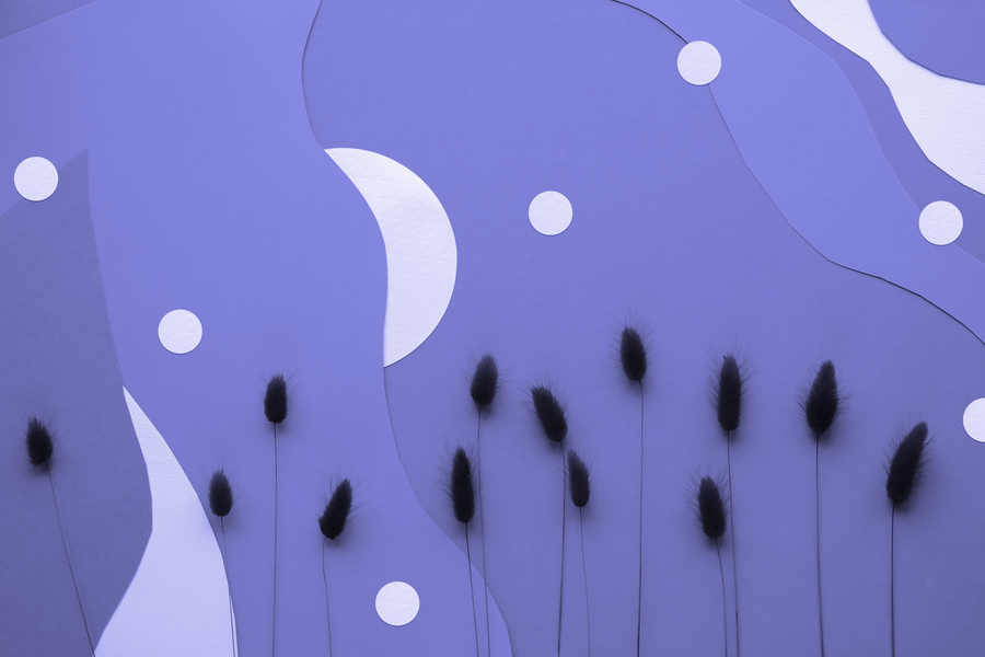 purple dreamscape wallpaper